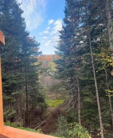 Photo of Others in Notre-Dame-Des-Bois