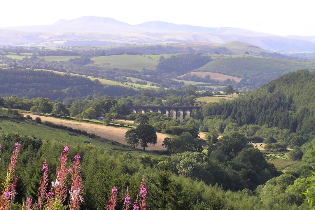 Photo of Others in Llandovery