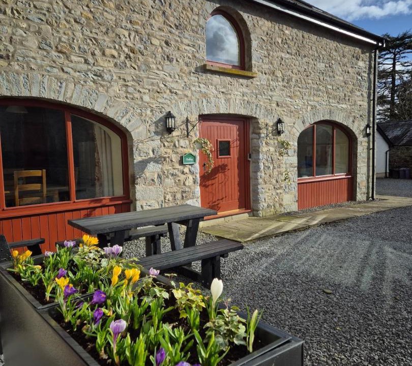 Photo of Others in Llandovery