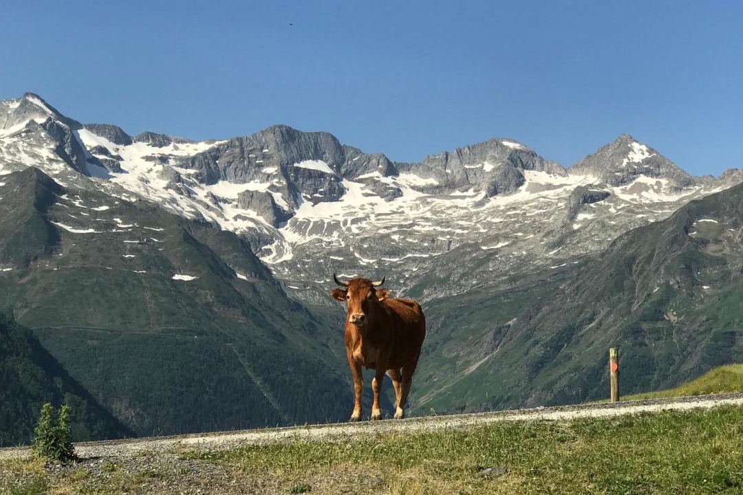 Photo of Others in Saint-Aventin