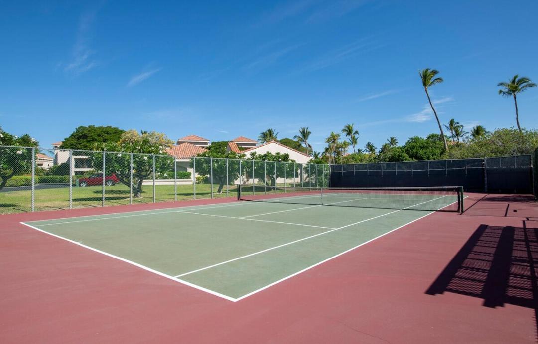 Photo of Others in Honohina