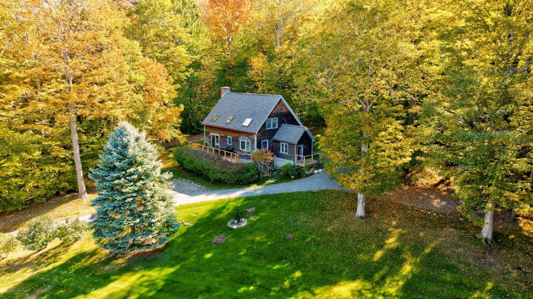 Photo of Others in Stowe Hollow