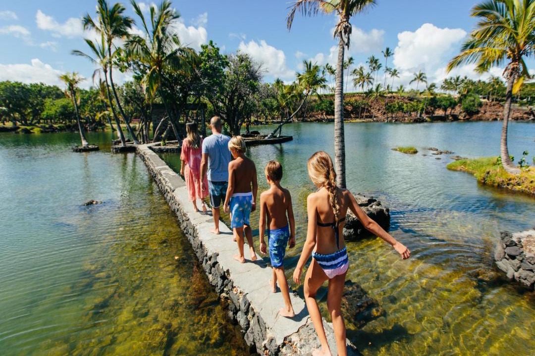 Photo of Others in Kamuela