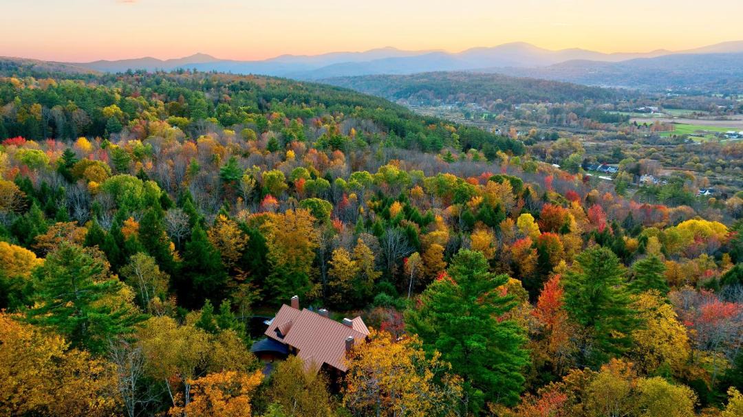 Photo of Others in Stowe