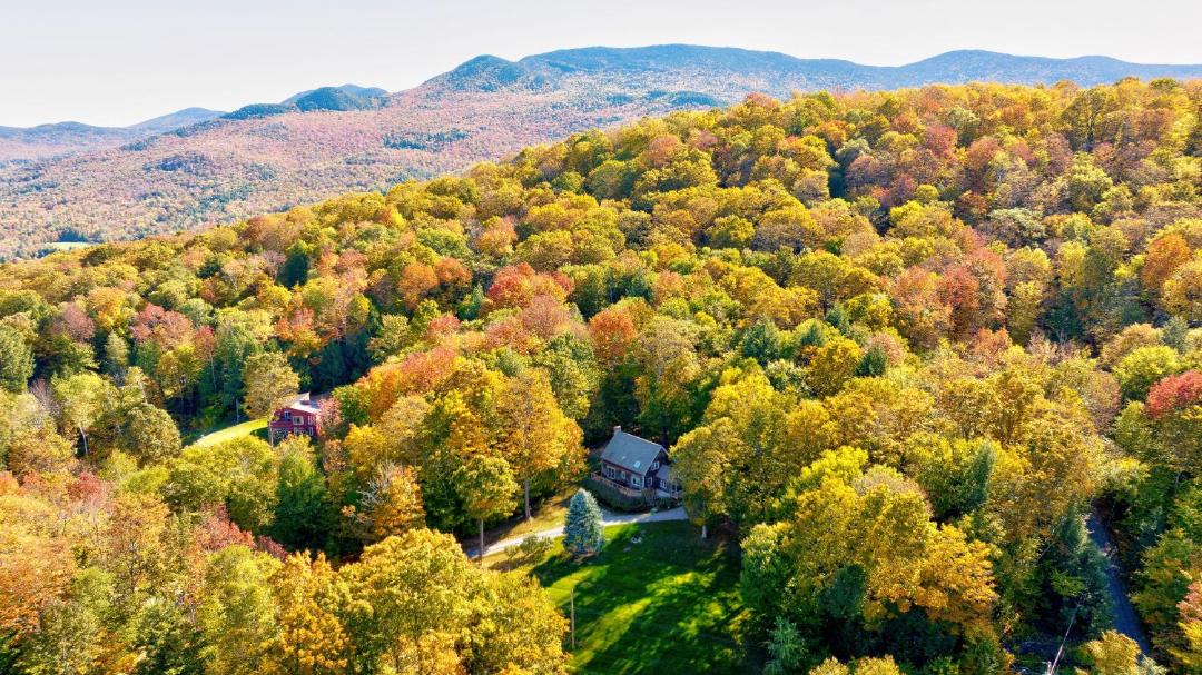 Photo of Others in Stowe Hollow