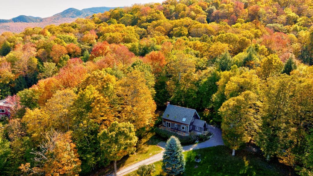 Photo of Others in Stowe Hollow