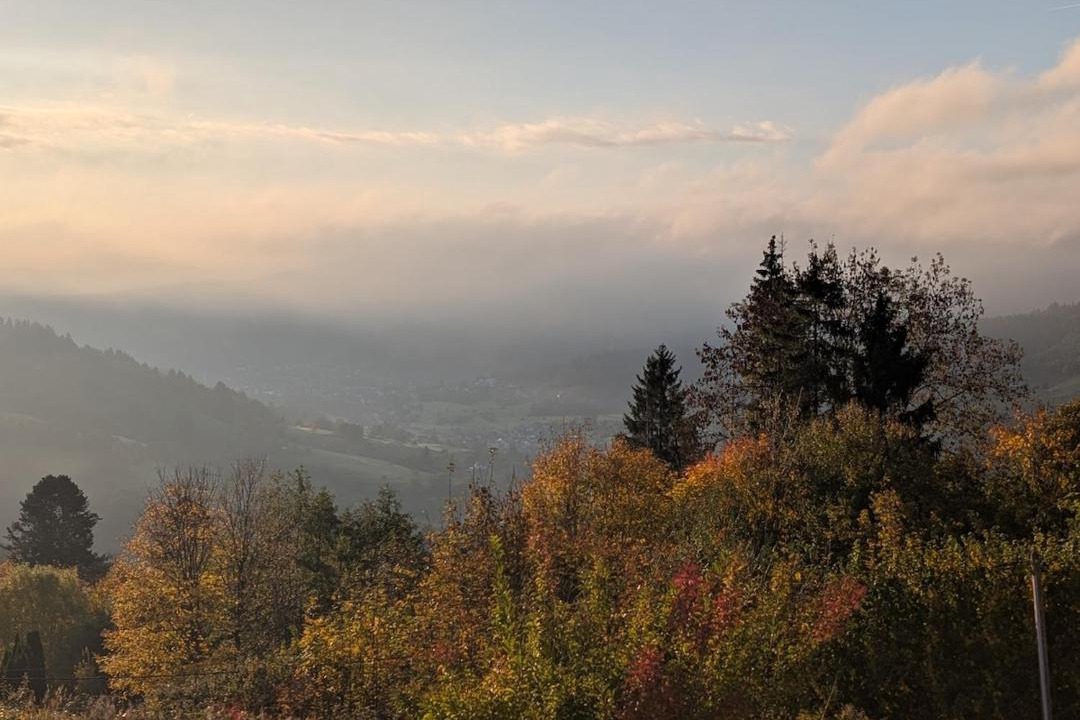 Photo of Others in Soultzeren