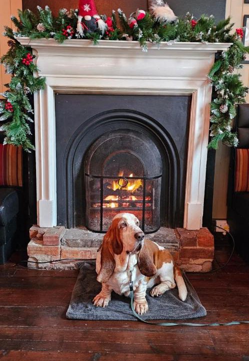 Photo of Others in Alton