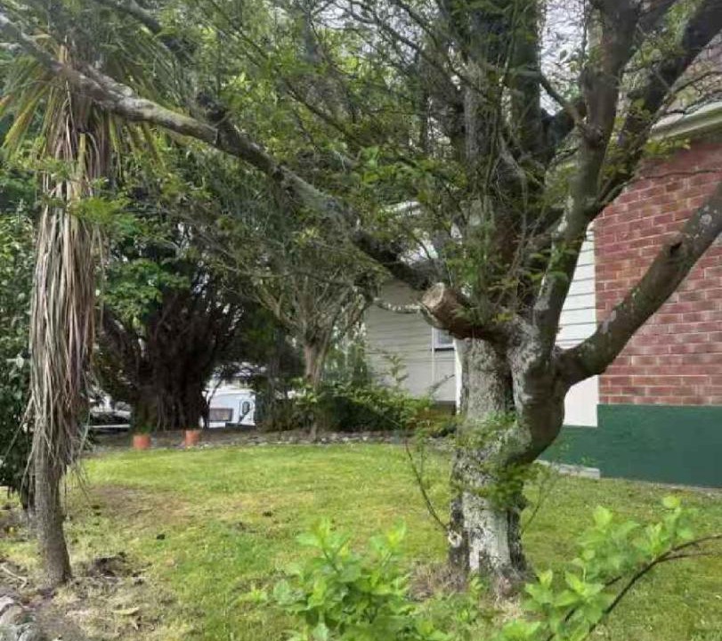 Photo of Others in Palmerston North