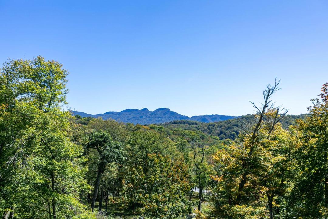 Photo of Others in Sugar Mountain