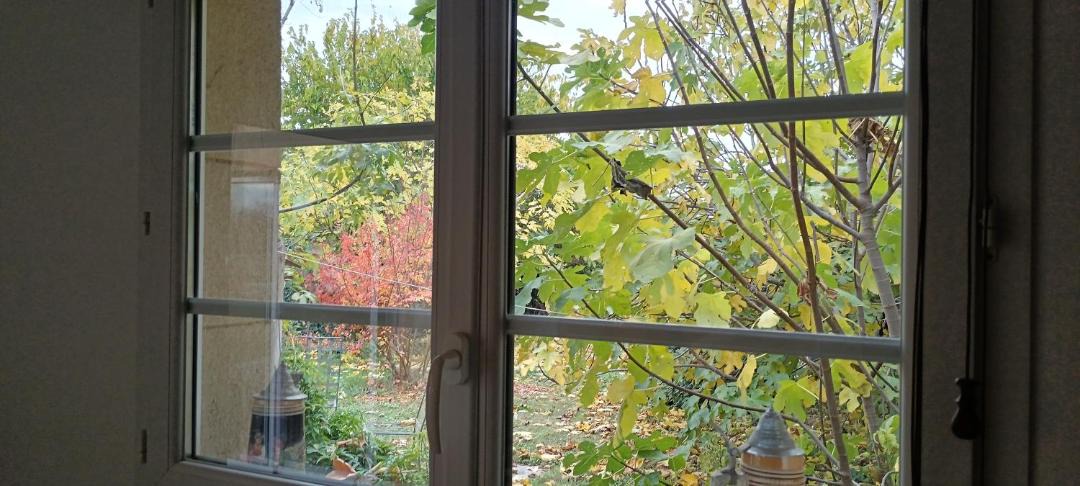 Photo of Others in Upie