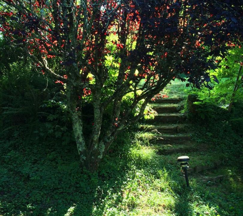 Photo of Others in Manciet