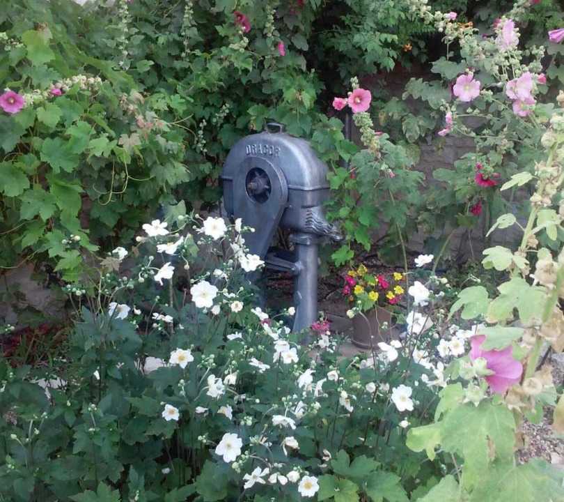 Photo of Others in Neuville-de-Poitou