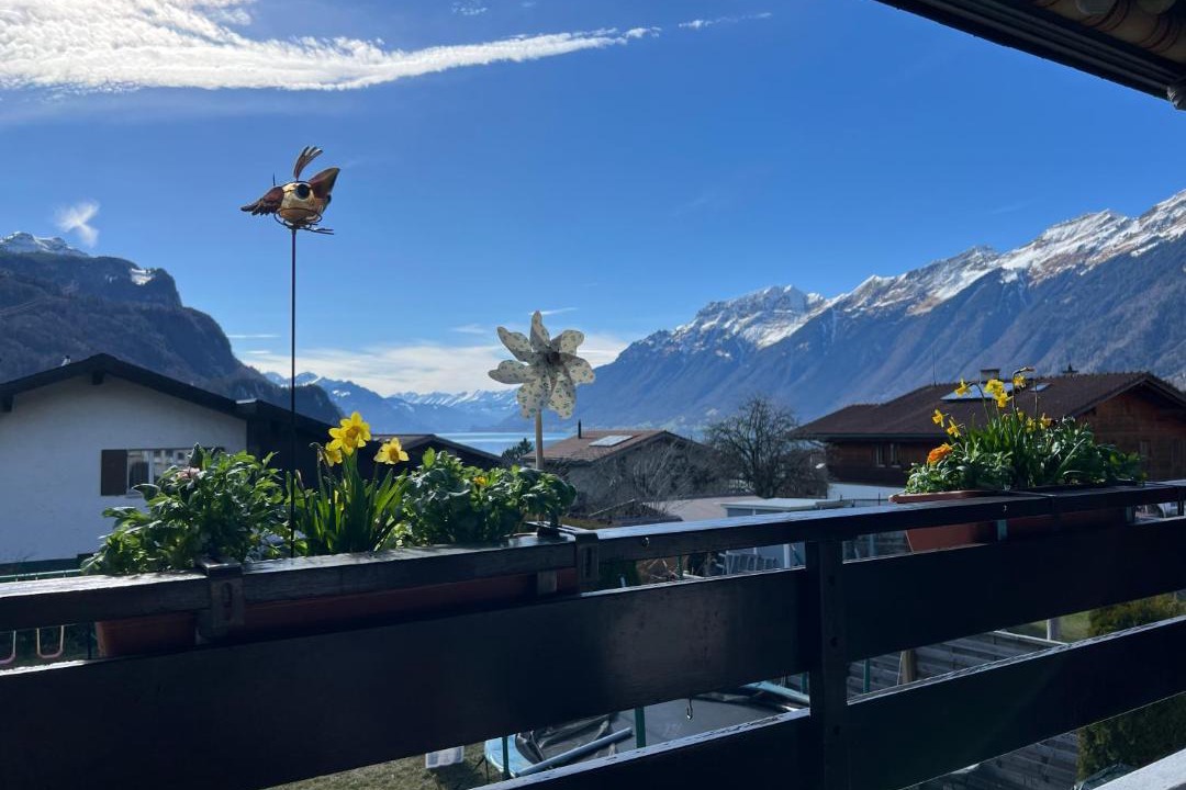 Photo of Others in Brienz