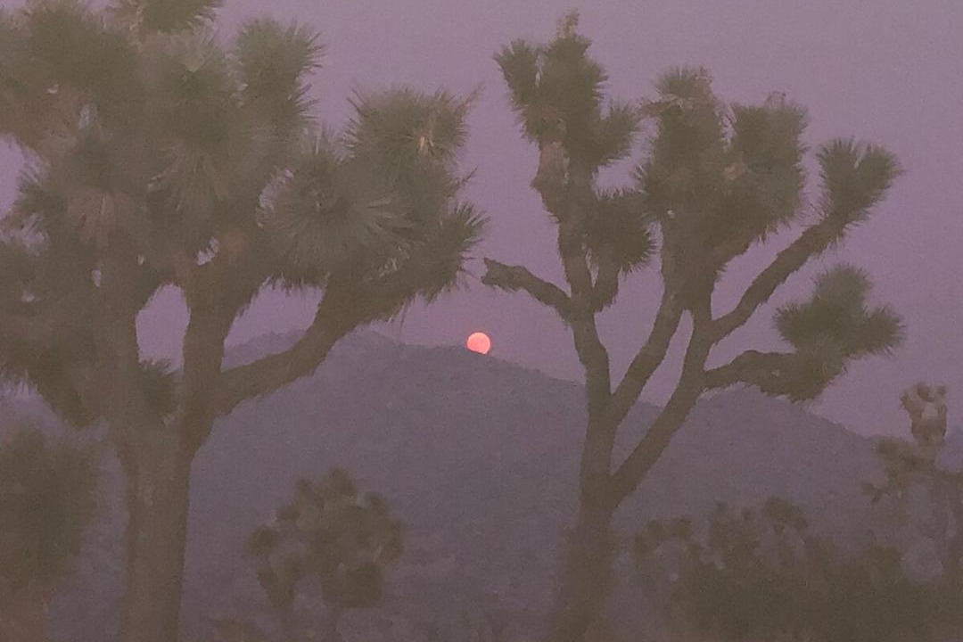 Photo of Others in Yucca Valley