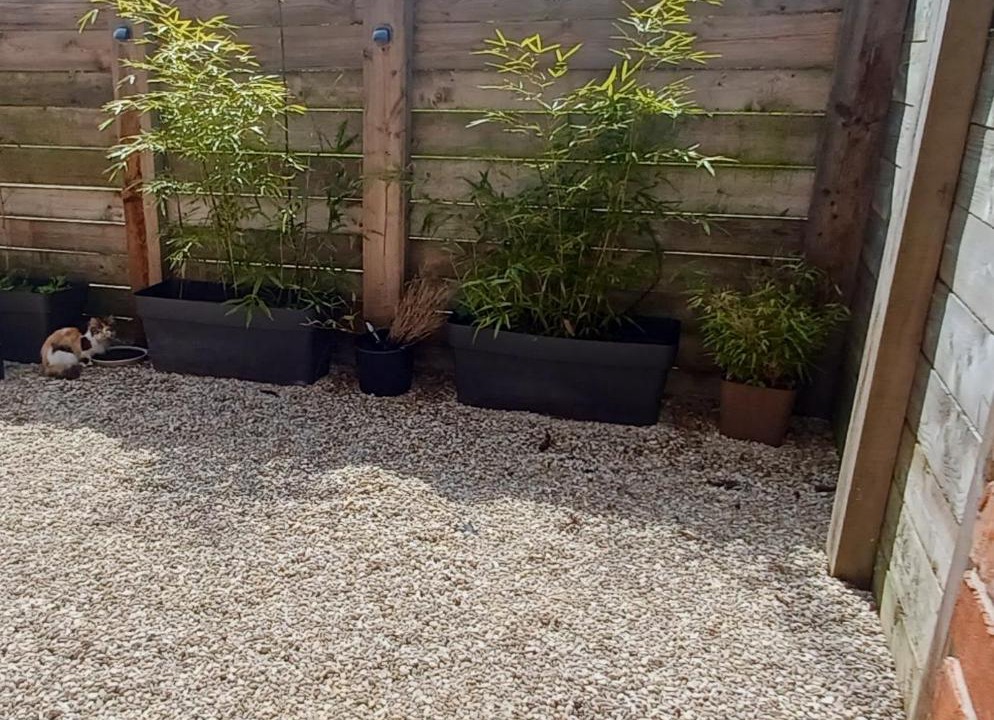 Photo of Others in Wittes