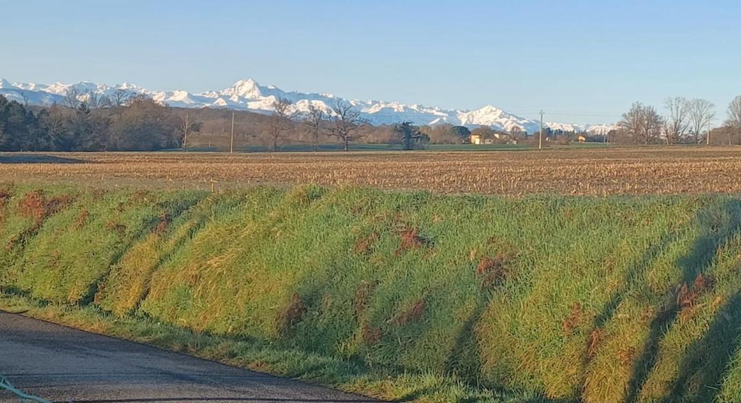 Photo of Others in Peyret-Saint-Andre