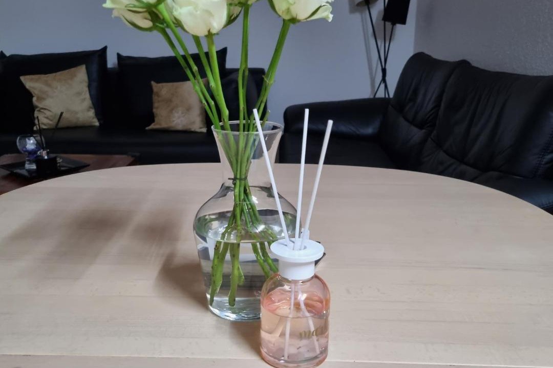 Photo of Others in Skovgaarde