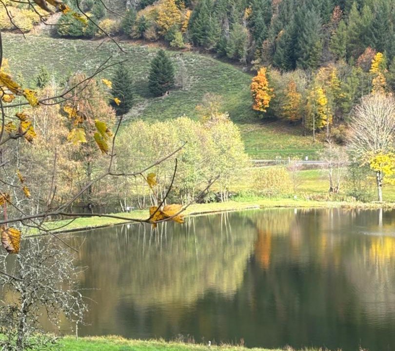 Photo of Others in Mollau