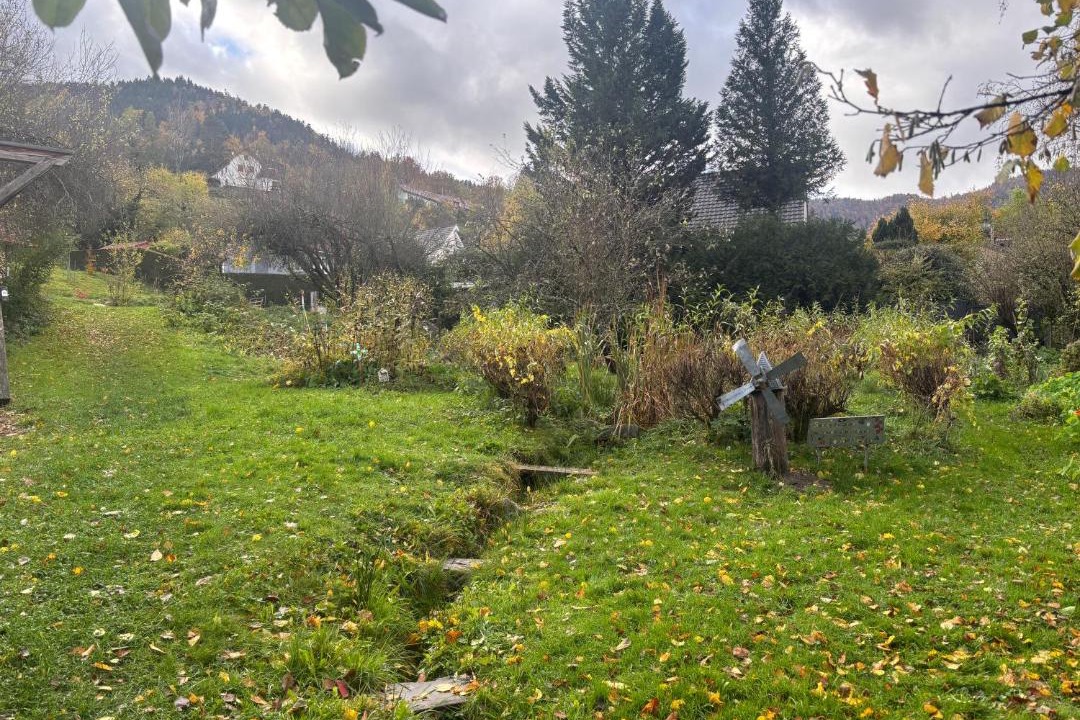 Photo of Others in Mollau