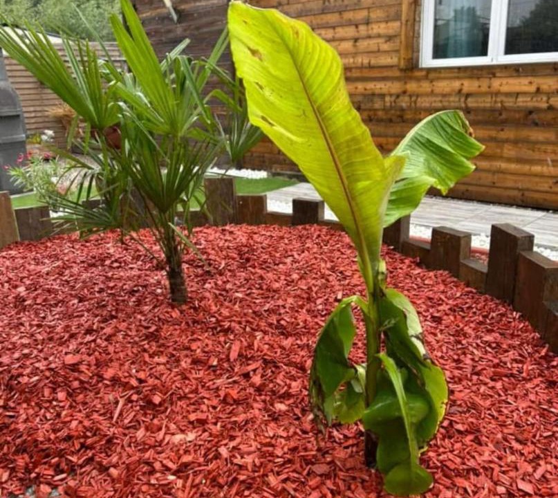 Photo of Others in Houlle