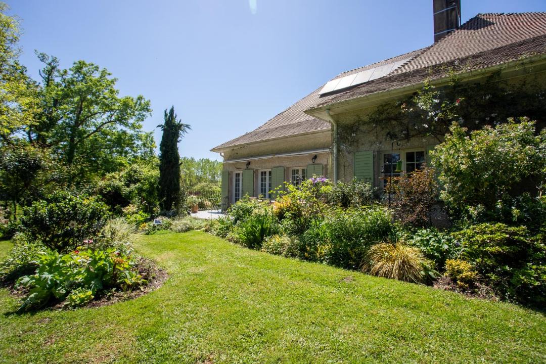 Photo of Others in Habas