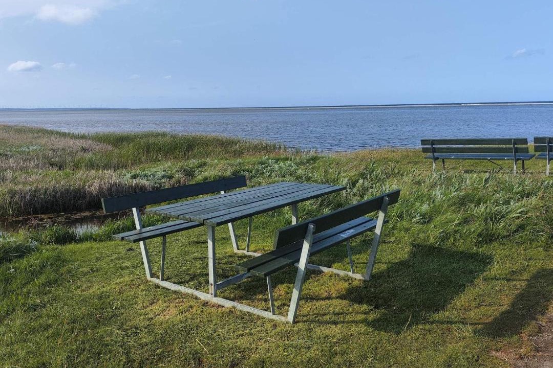 Photo of Others in Ørsted