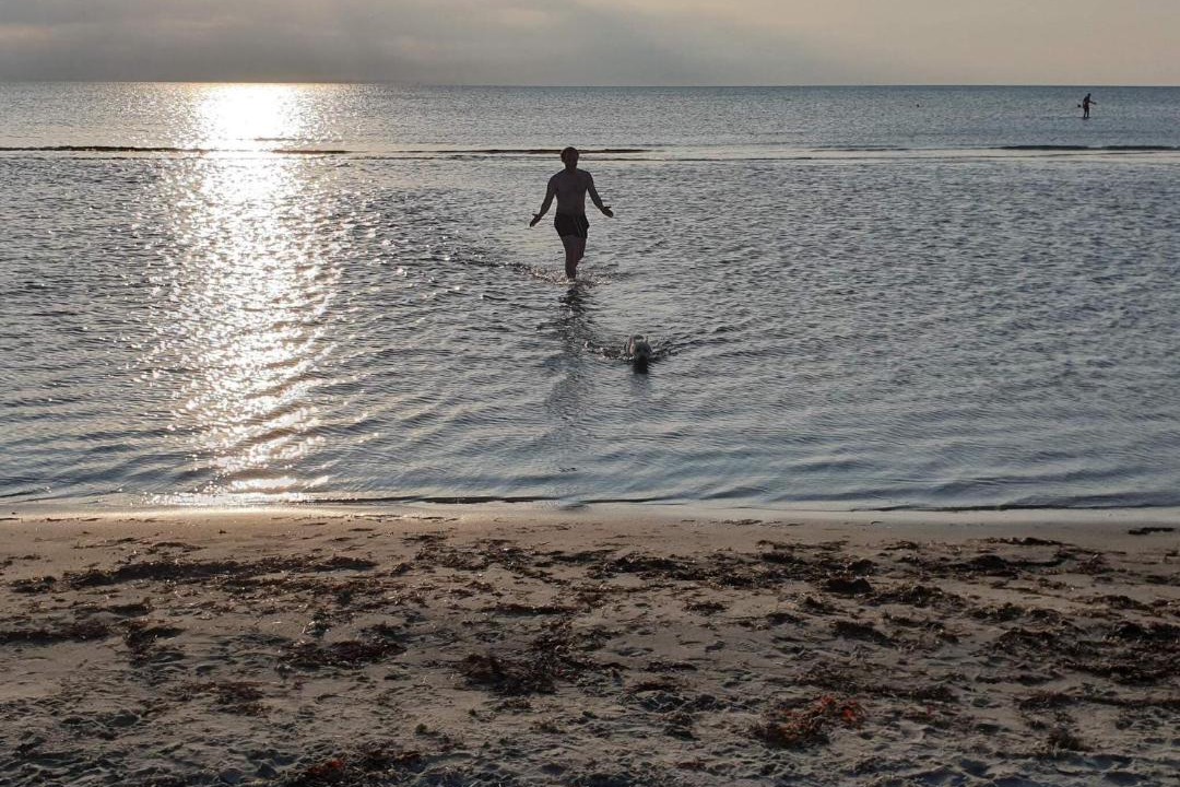 Photo of Others in Læsø