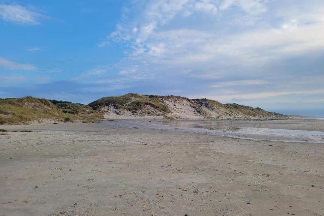 Photo of Others in Hirtshals
