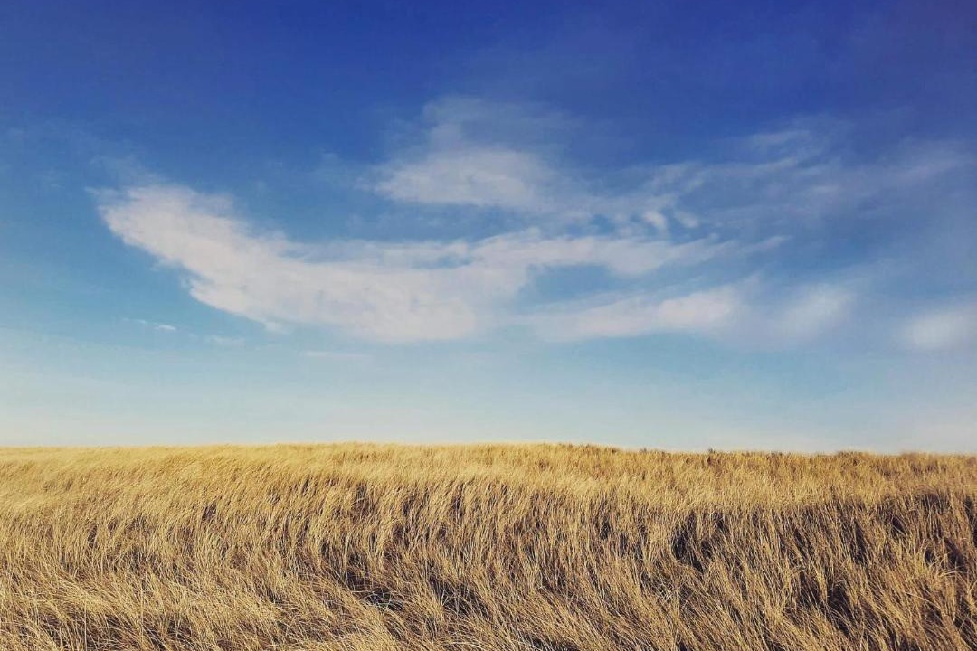 Photo of Others in Lild Strand