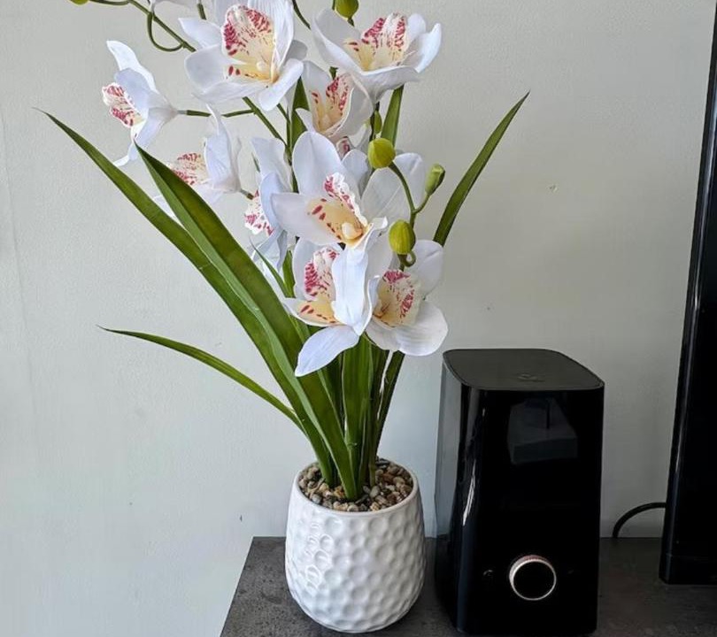 Photo of Others in Puteaux