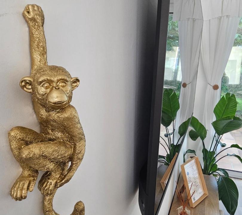 Photo of Others in La Roche-sur-Yon