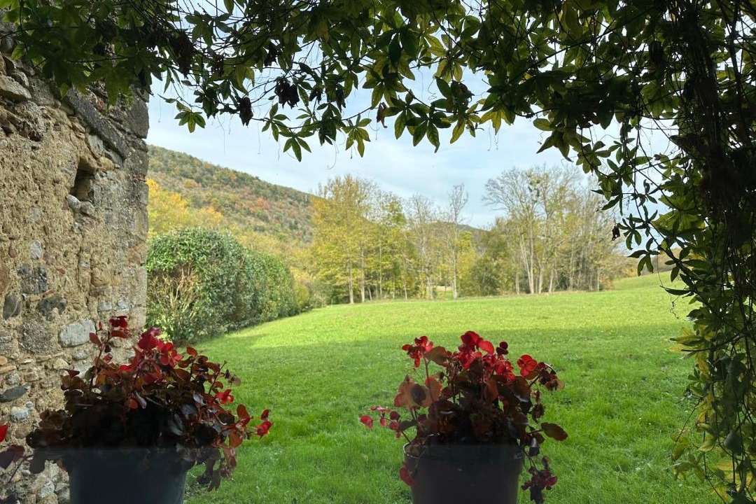 Photo of Others in Dun