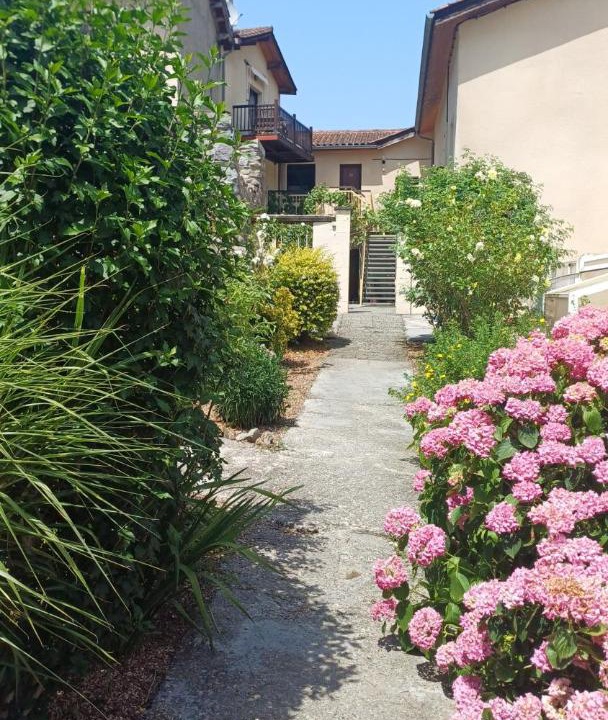 Photo of Others in Mauleon-Barousse