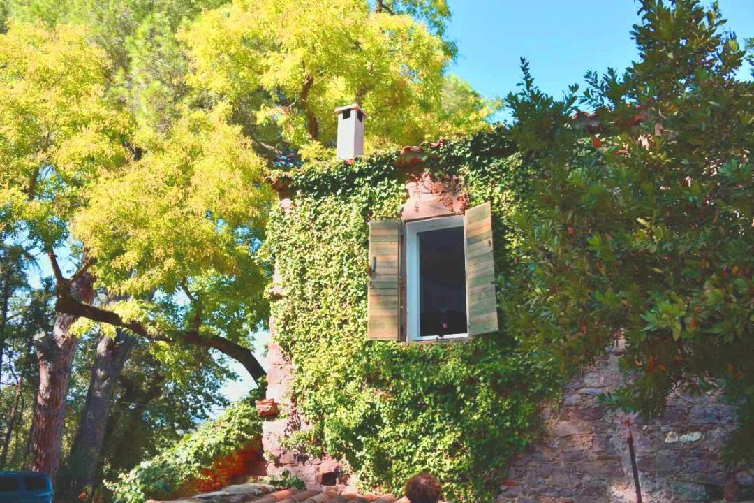 Photo of Others in Hyeres