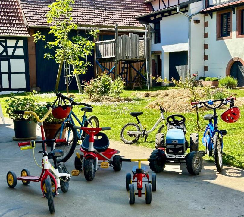 Photo of Others in Grassendorf