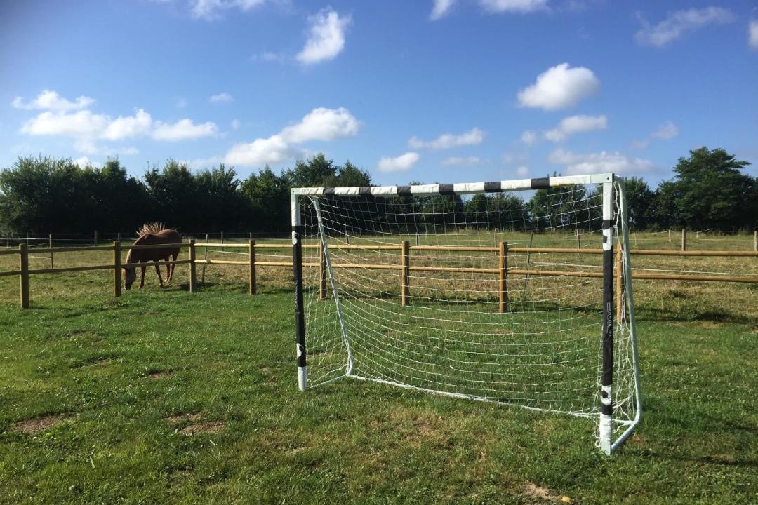 Photo of Others in Teloche