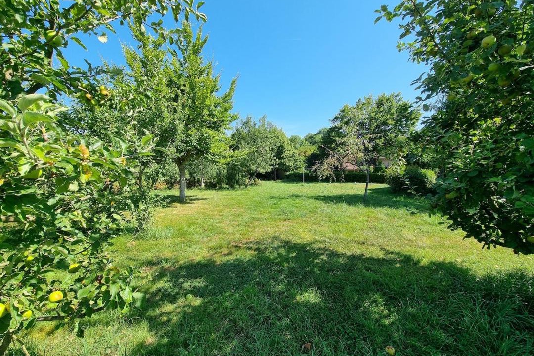 Photo of Others in Chalmoux