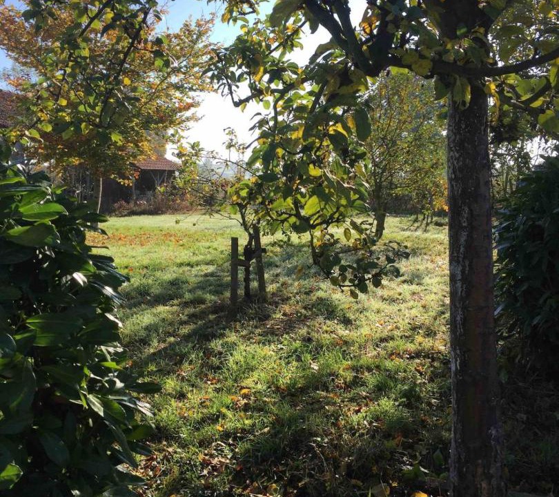 Photo of Others in Chalmoux