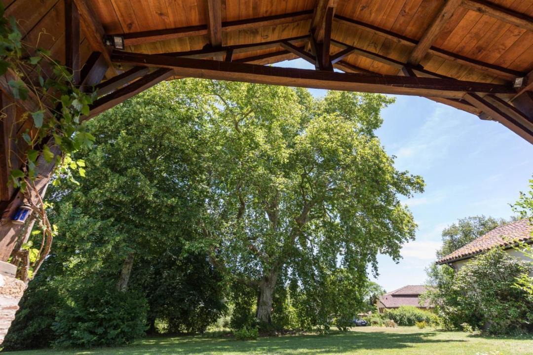 Photo of Others in Belis