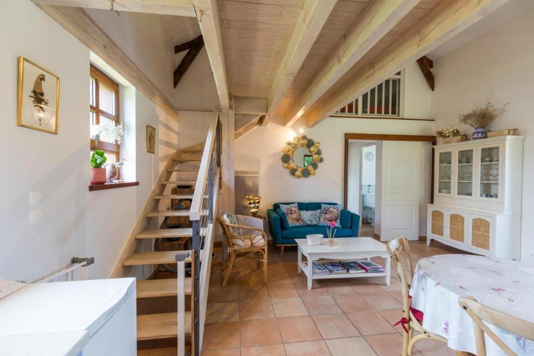 Photo of Others in Belis