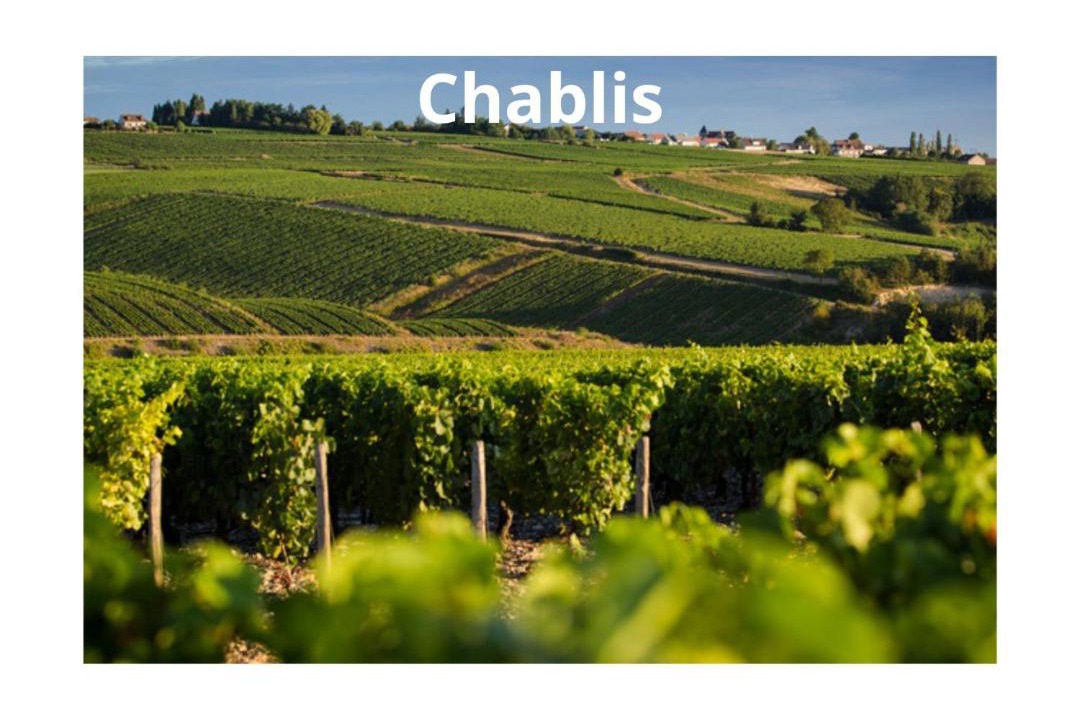 Photo of Others in Auxerre