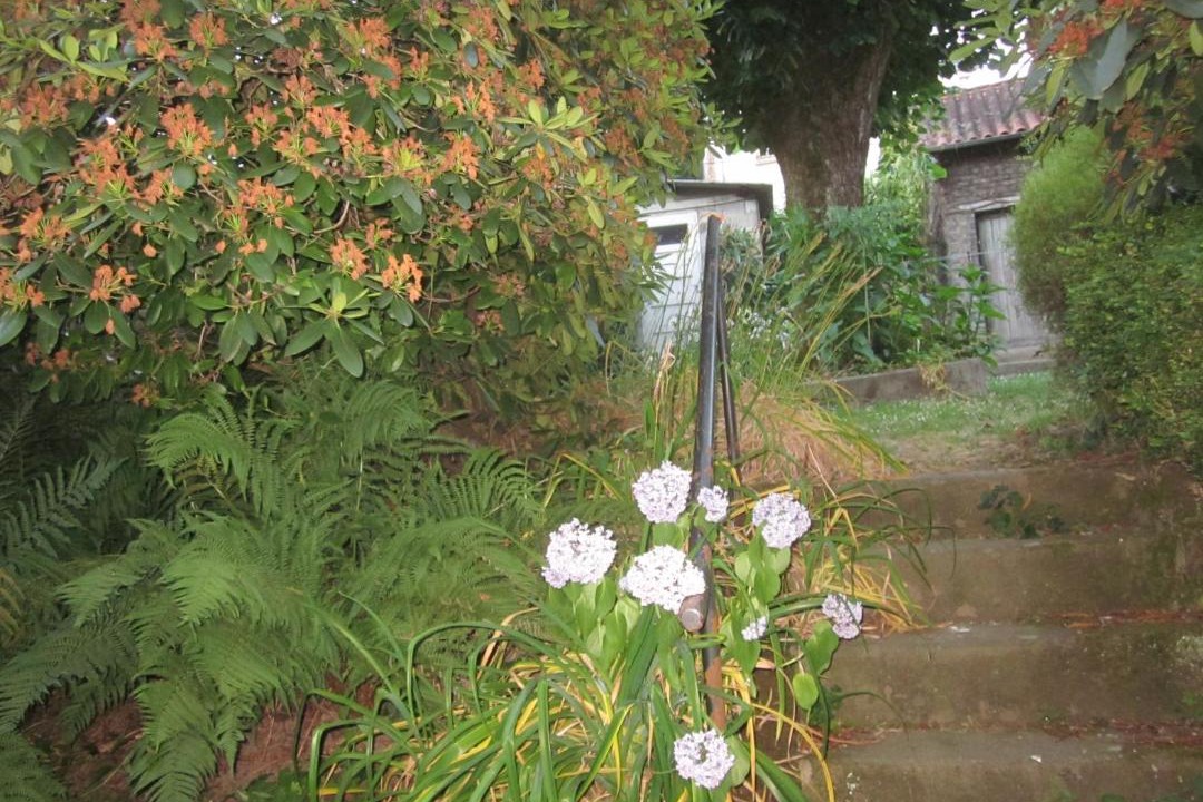 Photo of Others in Limoges