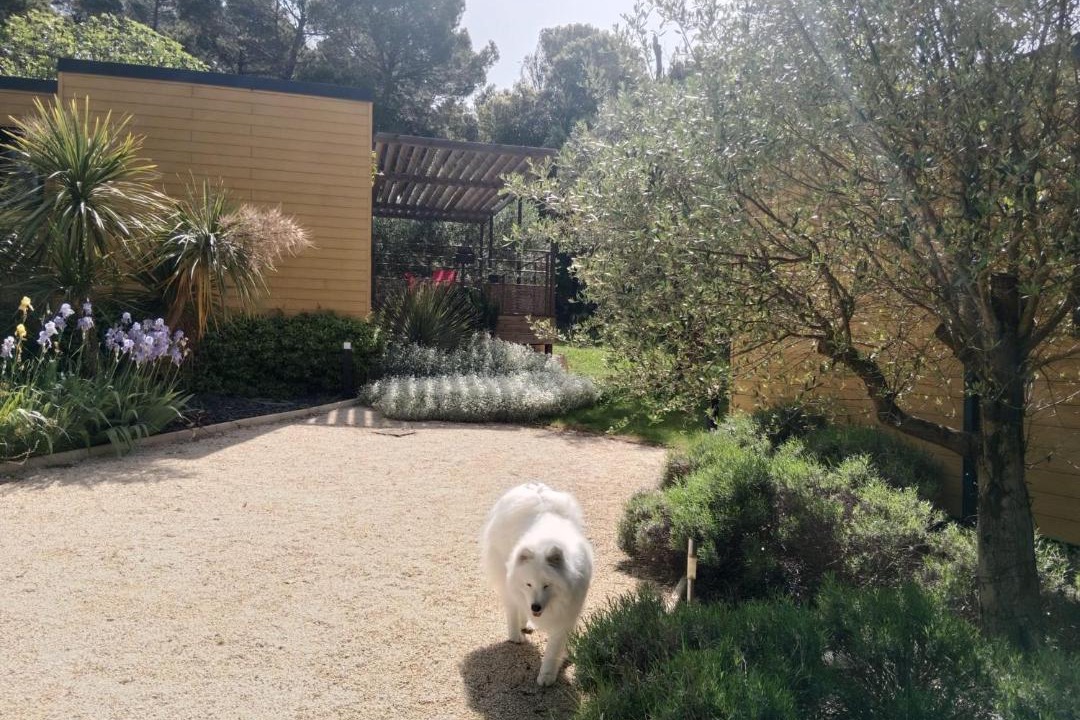 Photo of Others in Bollene