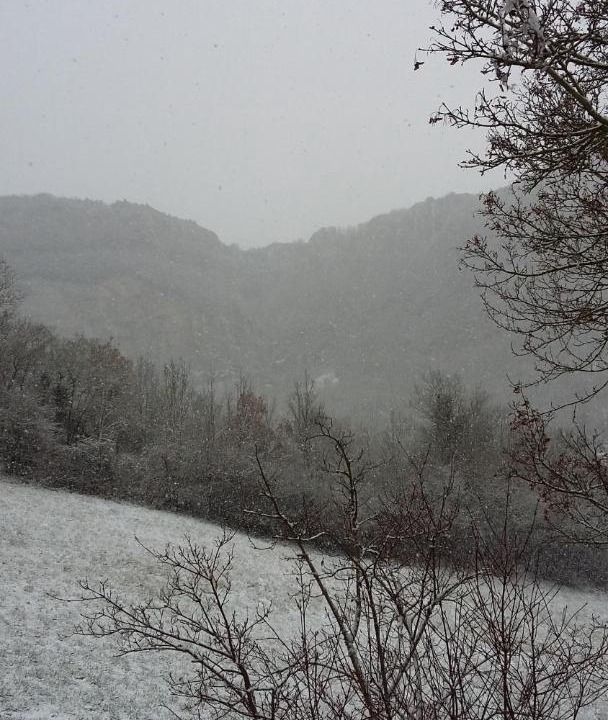 Photo of Others in Saint-Jean-et-Saint-Paul