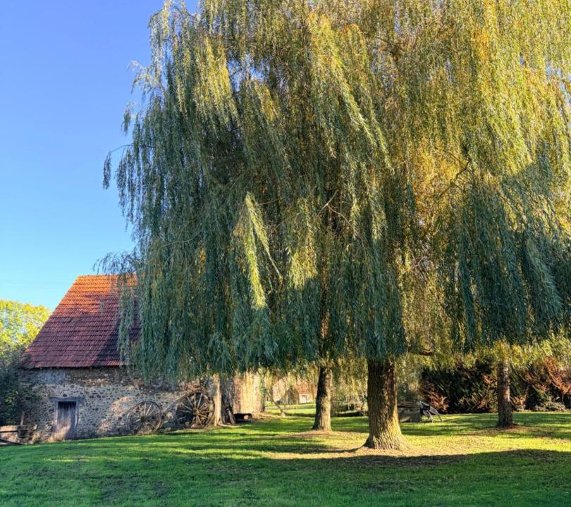 Photo of Others in Bonnat