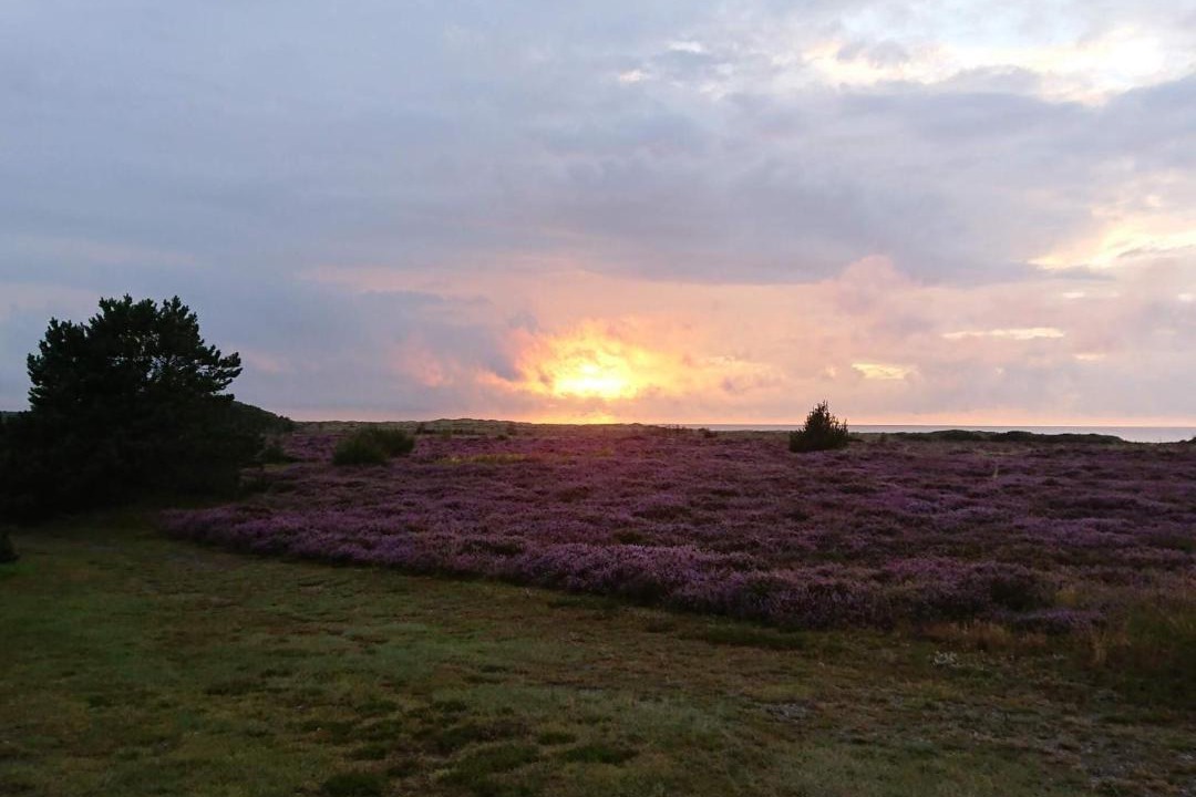 Photo of Others in Læsø