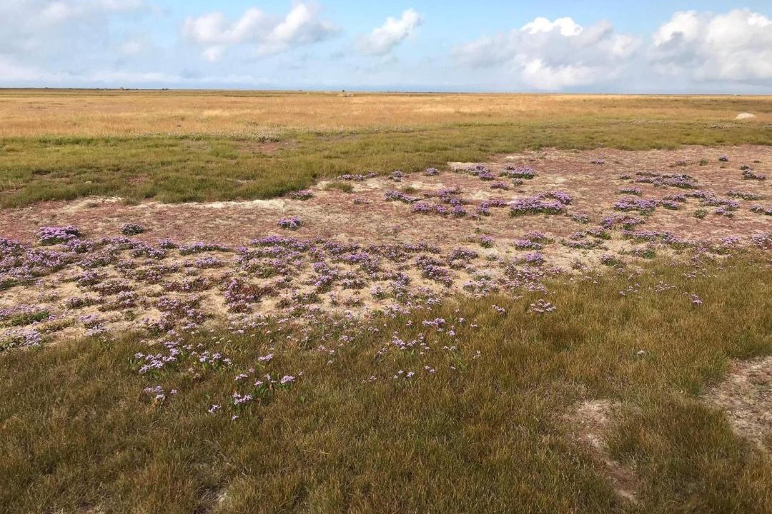 Photo of Others in Læsø