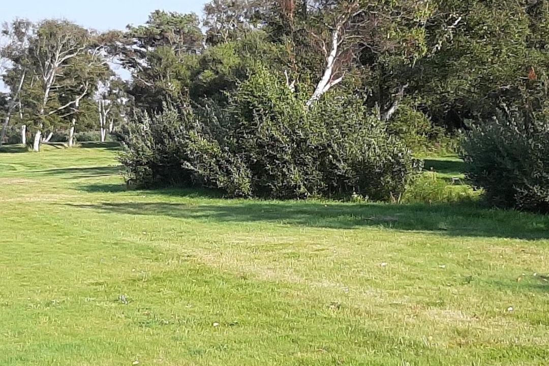 Photo of Others in Læsø