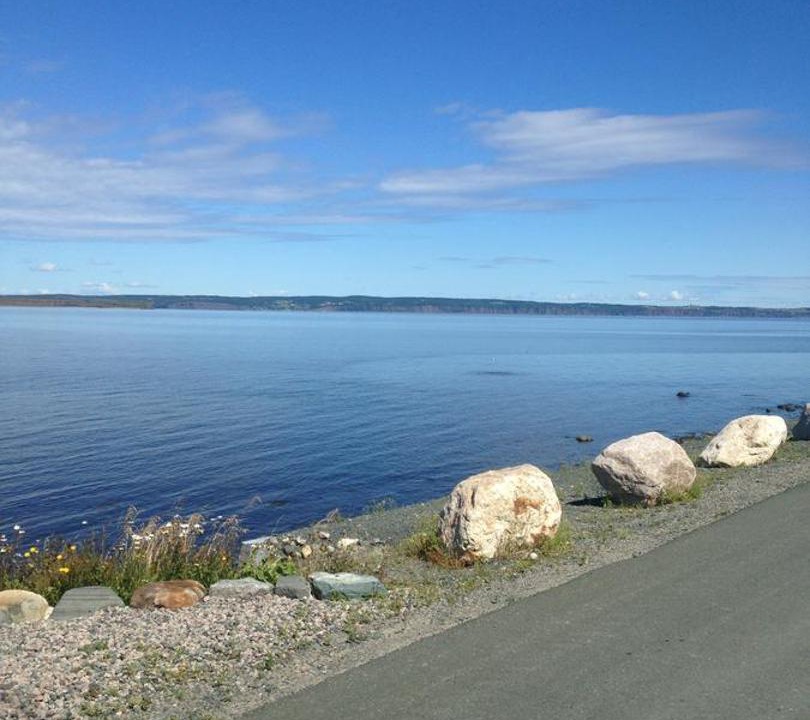 Photo of Others in Conception Bay South